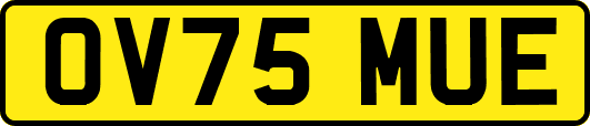OV75MUE
