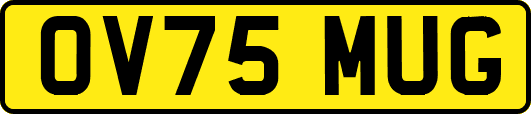OV75MUG