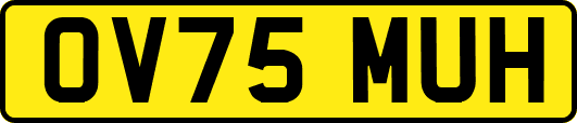OV75MUH