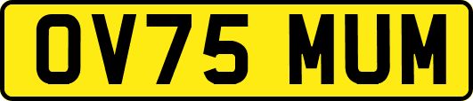 OV75MUM