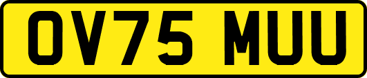 OV75MUU