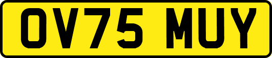 OV75MUY