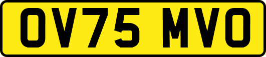 OV75MVO