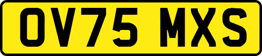 OV75MXS