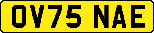 OV75NAE