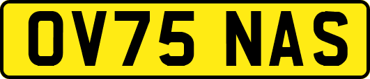 OV75NAS
