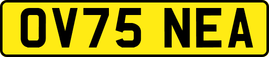 OV75NEA