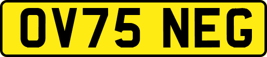 OV75NEG