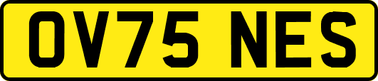OV75NES