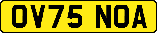 OV75NOA