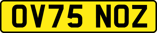 OV75NOZ