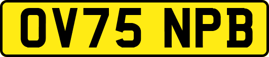 OV75NPB