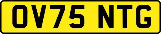OV75NTG
