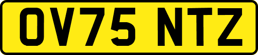 OV75NTZ