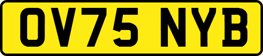 OV75NYB