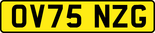 OV75NZG