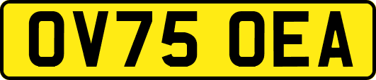 OV75OEA