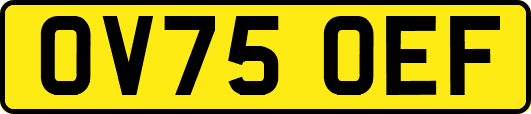 OV75OEF