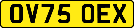 OV75OEX