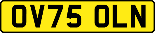 OV75OLN