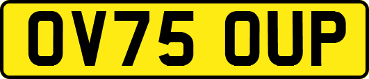 OV75OUP