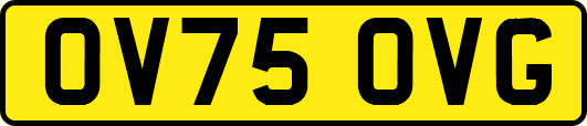 OV75OVG