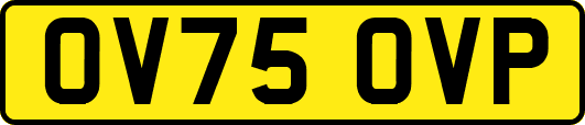 OV75OVP