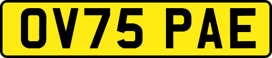OV75PAE