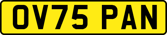 OV75PAN