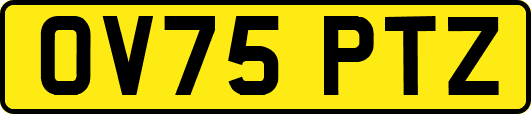 OV75PTZ