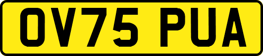OV75PUA