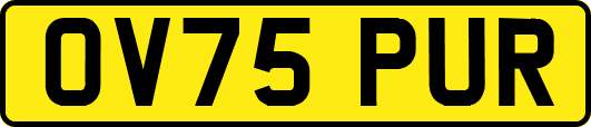 OV75PUR
