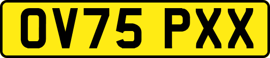 OV75PXX