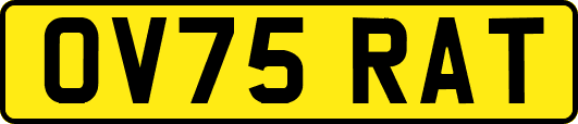 OV75RAT