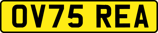 OV75REA