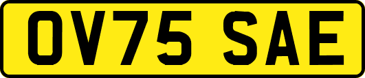 OV75SAE