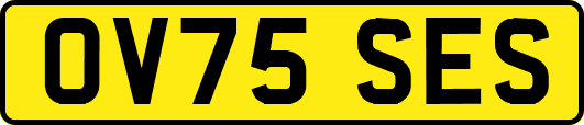 OV75SES