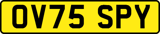 OV75SPY