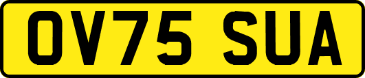 OV75SUA