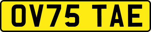 OV75TAE