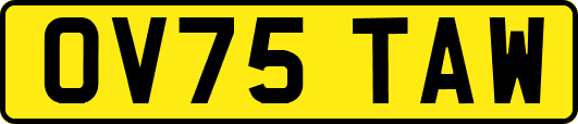 OV75TAW