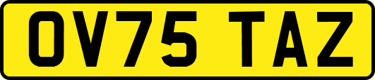 OV75TAZ