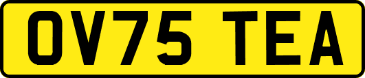 OV75TEA