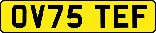 OV75TEF