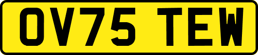 OV75TEW