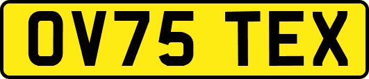 OV75TEX
