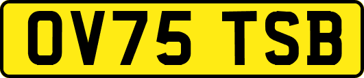 OV75TSB