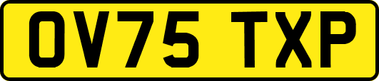 OV75TXP