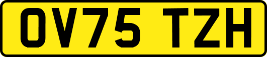 OV75TZH