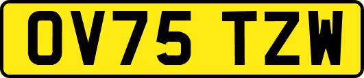OV75TZW